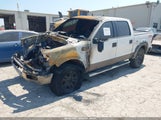 Ford F-150 Fx4/Lariat/Xlt 1FTPW14555FB61912 fotografie