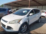 Ford Escape Sel 1FMCU0HXXDUA88407 снимка