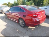 Hyundai Sonata Sport 5NPE34AF2FH098175 fotografie