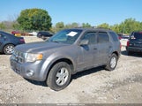 Ford Escape Xlt 1FMCU03Z48KD85988 снимка