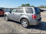 Ford Escape Xlt 1FMCU03Z48KD85988 снимка