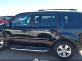 Honda Pilot Ex-L 5FNYF3H59BB011795 fotografie