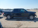 Ford F-150 Fx2 Sport/Harley-Davidson/King Ranch/Lariat/Platinum/Xl/Xlt 1FTFW1CV7AFC22927 снимка