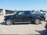 Ford F-150 Fx2 Sport/Harley-Davidson/King Ranch/Lariat/Platinum/Xl/Xlt 1FTFW1CV7AFC22927 photo