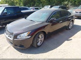 Nissan Maxima 3.5 Sv 1N4AA5APXBC843740 снимка