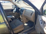 Ford Escape Xlt 1FMCU03144DA23037 fotografie