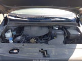 Kia Sedona Lx KNDMB5C1XG6163498 photo
