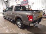Ford F-150 Xlt 1FTEW1EG2GKF48855 снимка