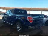 Ford F-150 Xlt 1FTFW1ET0EFD11692 снимка