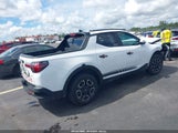 Hyundai Santa Cruz Sel 5NTJCDAE2RH083784 photo