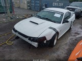 Ford Mustang Gt 1FAFP42X24F155567 снимка