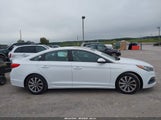 Hyundai Sonata Sport 5NPE34AF5FH046409 photo