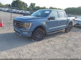 Ford F-150 Tremor 1FTEW1E8XPFC30659 снимка