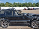 Jeep Liberty Renegade 1J4GL38K26W134649 fotografie