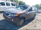 Kia Sorento Ex V6 5XYKUDA22BG137619 снимка