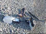 Ram  Big Horn/Lone Star 4X4 5'7 Box 1C6SRFFT4KN911836 photo