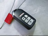 Miniaturka zdjęcia 11