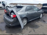 Toyota Corolla S 2T1BU4EE2AC502699 снимка