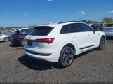 Audi E-Tron Premium Quattro WA1AAAGE0NB042425 fotografie