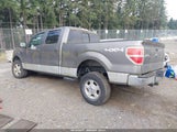 Ford F-150 Fx4/Harley-Davidson/King Ranch/Lariat/Platinum/Xl/Xlt 1FTFW1EV2AFD44172 photo