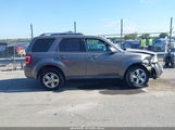 Ford Escape Limited 1FMCU0EG7BKB70009 снимка