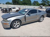 Ford Mustang Gt Deluxe/Gt Premium 1ZVHT82H985156352 photo