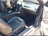 Ford Mustang Gt Deluxe/Gt Premium 1ZVHT82H985156352 photo