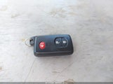 Miniaturka zdjęcia 11