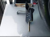 Miniaturka zdjęcia 11