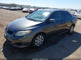 Toyota Corolla Le 1NXBU40E19Z149163 снимка