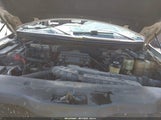Ford F-150 Fx4/Lariat/Xlt 1FTPW14594KD50102 fotografie