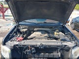 Ford F-150 King Ranch 1FTFW1ET3EKE95596 снимка