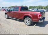 Ford F-150 Xlt 1FTFW1EG4HKD94087 снимка