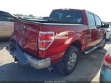 Ford F-150 Xlt 1FTFW1ET5DKD59128 снимка