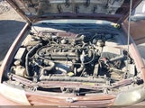 Nissan Altima Gle/Gxe/Se/Xe 1N4BU31D7VC228685 photo