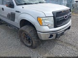 Ford F-150 Fx4/Harley-Davidson/King Ranch/Lariat/Platinum/Xl/Xlt 1FTFW1EV5AKE50624 снимка