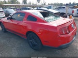 Ford Mustang V6/V6 Premium 1ZVBP8AN1A5131386 fotografie