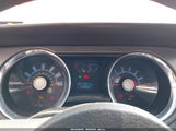 Ford Mustang V6/V6 Premium 1ZVBP8AN1A5131386 fotografie