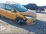 Ford Escape Titanium 1FMCU0J97GUB31326 fotografie