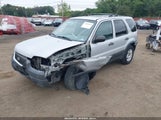 Ford Escape Xlt 1FMCU041X2KB75377 снимка