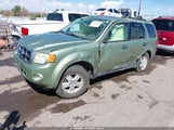 Ford Escape Xlt 1FMCU93178KD56497 fotografie