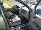 Ford Escape Xlt 1FMCU93178KD56497 fotografie