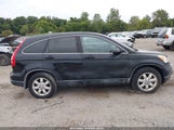 Honda Cr-V Ex-L 5J6RE48769L016856 photo