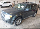 Ford Escape Xlt 1FMCU03G39KC39954 снимка