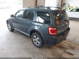 Ford Escape Xlt 1FMCU03G39KC39954 снимка