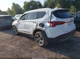 Hyundai Santa Fe Sel 5NMS2DAJ6PH635672 снимка