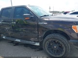 Ford F-150 Xlt 1FTFW1EFXDKF47346 снимка