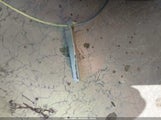 Honda Civic Lx 2HGFB2F57CH562210 снимка