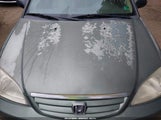 Honda Civic Lx 2HGES16563H590974 снимка