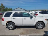 Ford Escape Xlt 1FMCU03749KB29222 снимка